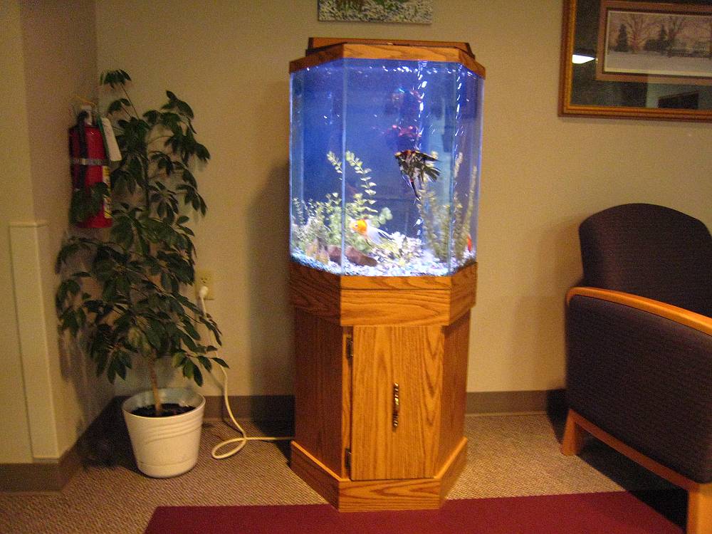 Fish Aquarium Gallery of Aquatic Designs | Aquarium Maintenance | Grand